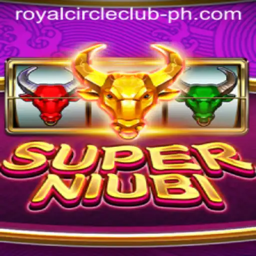 Discovering SuperNiubi: An Inside Look into the Phenomenal Game